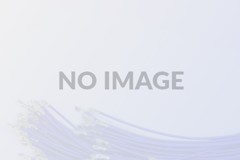 テスト投稿です