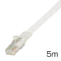 フラット6 ホワイト(カテゴリー6対応/両端プラグ付き)